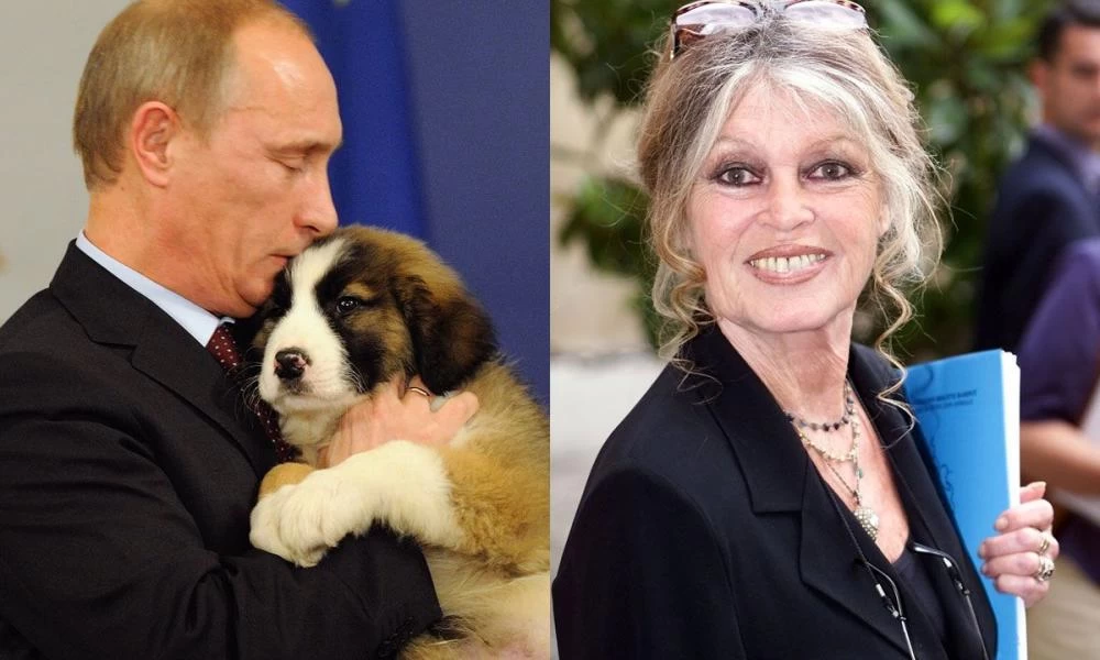 Μπριζίτ Μπαρντό σε Πούτιν: Μην ξεχνάτε τα εγκαταλελειμμένα ζώα στο Αρτσάχ!